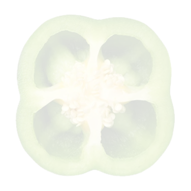 h1-slide2-layer1